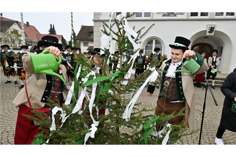 Im oberschwäbischen Kißlegg stand das Gießen des kleinen Narrenbaums an.