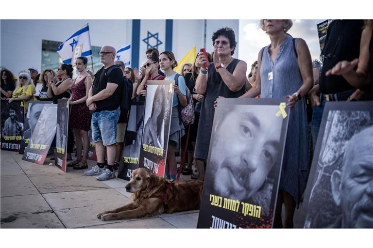 Immer wieder fordern Demonstranten in Israel die Freilassung der Geiseln. (Archivbild)