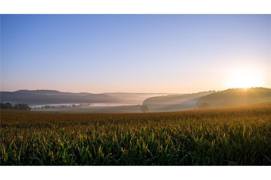 In Baden-Württemberg gibt es morgens Nebel, der dann von der Sonne abgelöst wird.