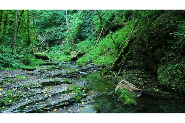 in der Gauchachschlucht stürzt eine Wanderin in die Tiefe.