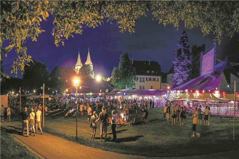 In der Walterichstadt engagieren sich viele Menschen, ein Beispiel dafür ist der Sommerpalast, bei dem rund 400 Helferinnen und Helfer mitwirken. Archivfoto: Alexander Becher