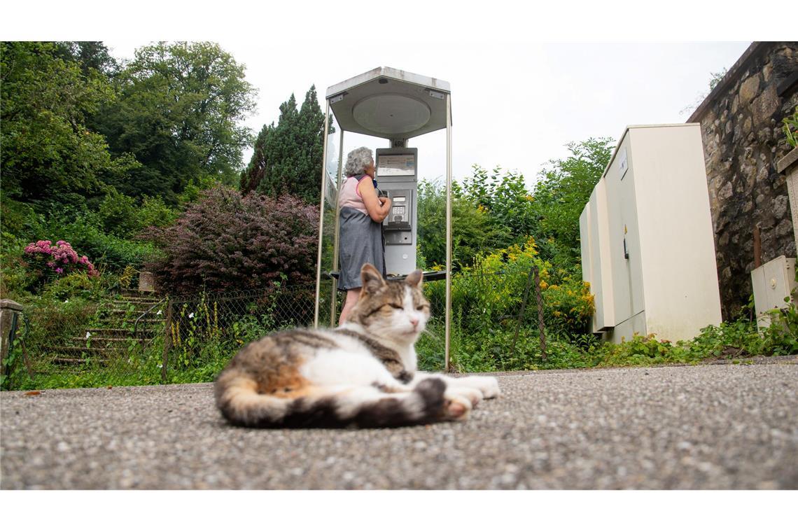 In einer Telefonzelle im Elsass rufen Menschen aus der ganzen Welt an.