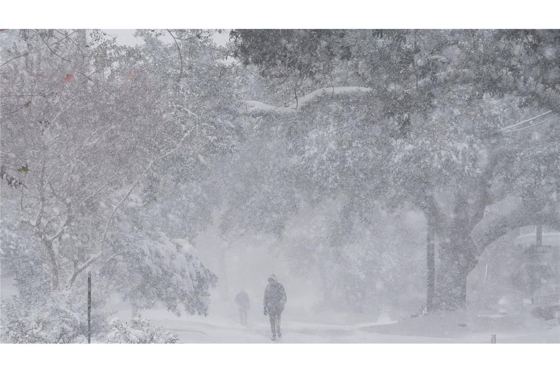 In New Orleans fielen mehr als 20 Zentimeter Schnee.