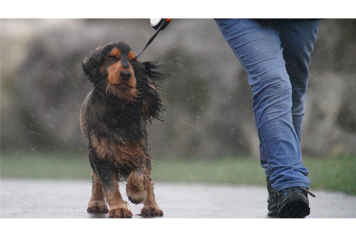 In Teilen von Wales galt die stärkste Wetterwarnung: "Lebensgefahr".