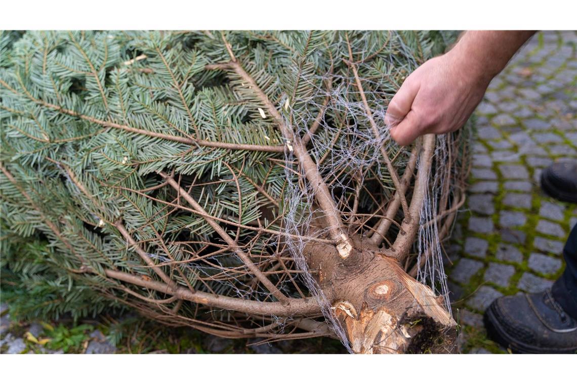 In Waldbrunn im Neckar-Odenwald-Kreis stahlen Unbekannte mehrere Christbäume. (Symbolfoto)