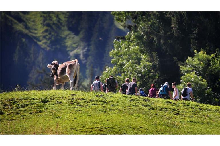 Jeder sechste Inlandstourist aus Deutschland reiste nach Bayern. (Archivbild)