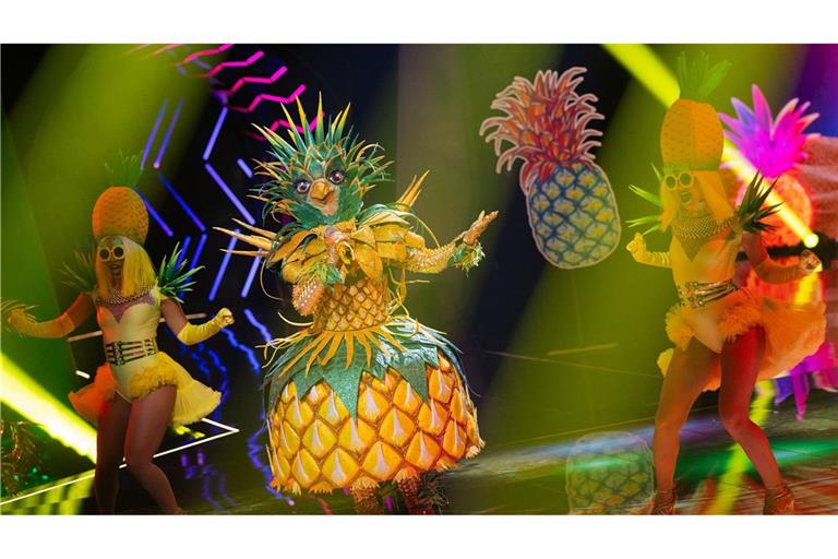 "Lady Ananas" ist bei "The Masked Singer" raus. (Archivbild)