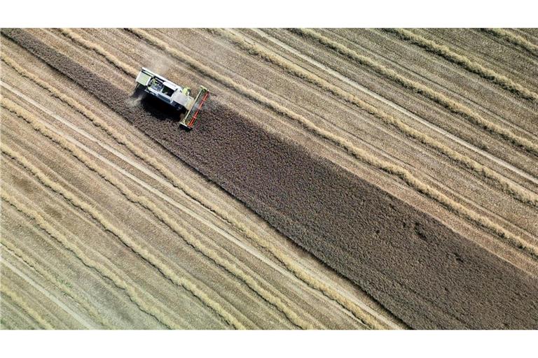 Land- und Forstwirtschaft könnten ihren Beitrag zur Klimaneutralität laut einer Studie in den nächsten Jahrzehnten deutlich steigern. (Archivbild)