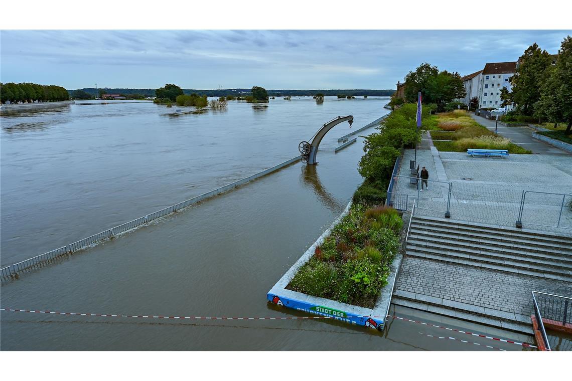 Land unter - die Wassermassen reichen an die Oderpromenade in Frankfurt.