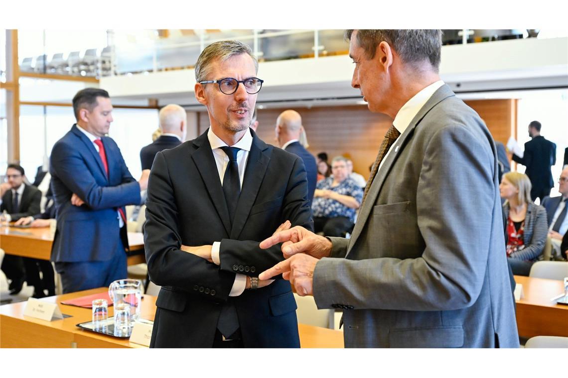 Lars Castellucci (l, SPD) und Christoph Hoffmann (r, FDP) leiten derzeit als Stellvertreter zwei Ausschüsse.