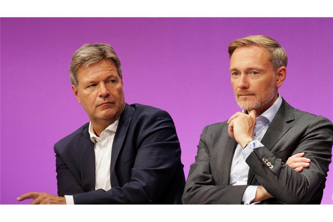 Lindner und Habeck sehen neue Initiative als Erfolgsprojekt