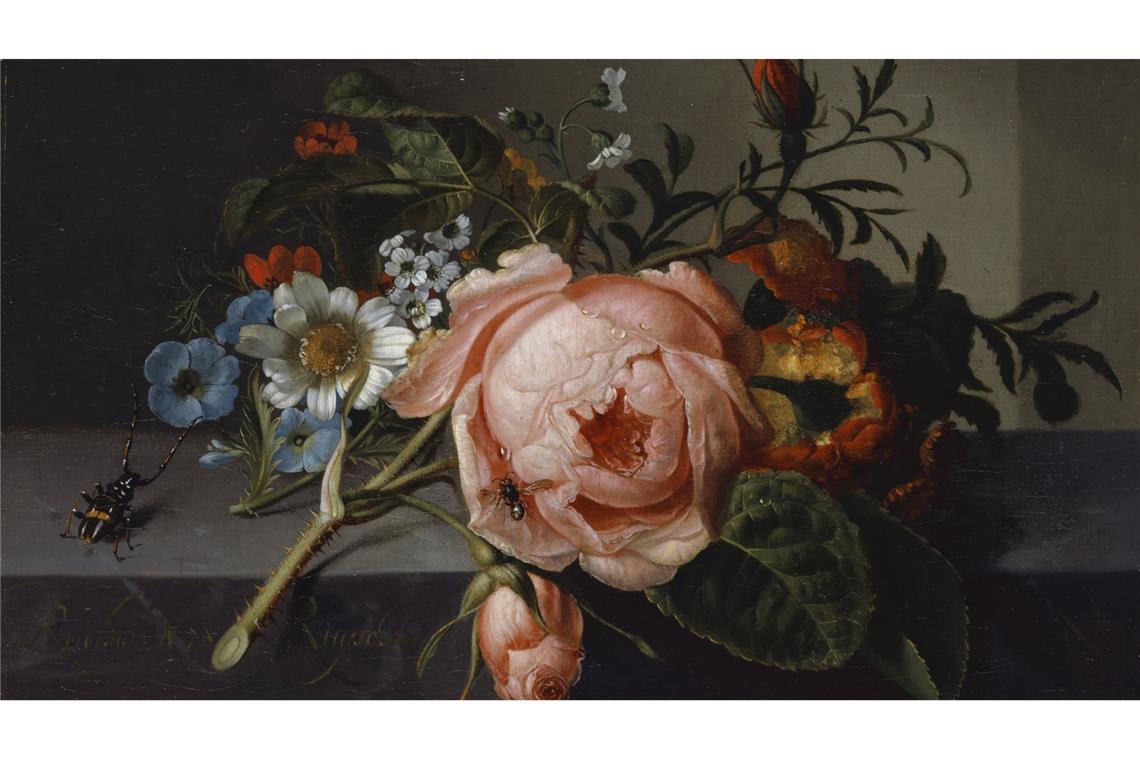 Magisch schön:  die Bilder von Rachel Ruysch.