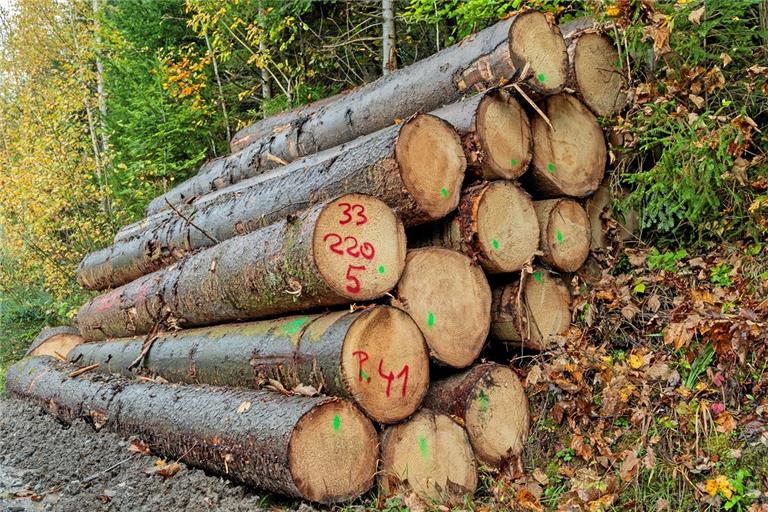 Mehrere Meter Holz wurden gestohlen. Symbolfoto: Stefan Bossow