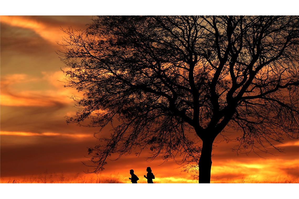 Menschen laufen bei Sonnenuntergang in einem Park in Kansas in den USA.