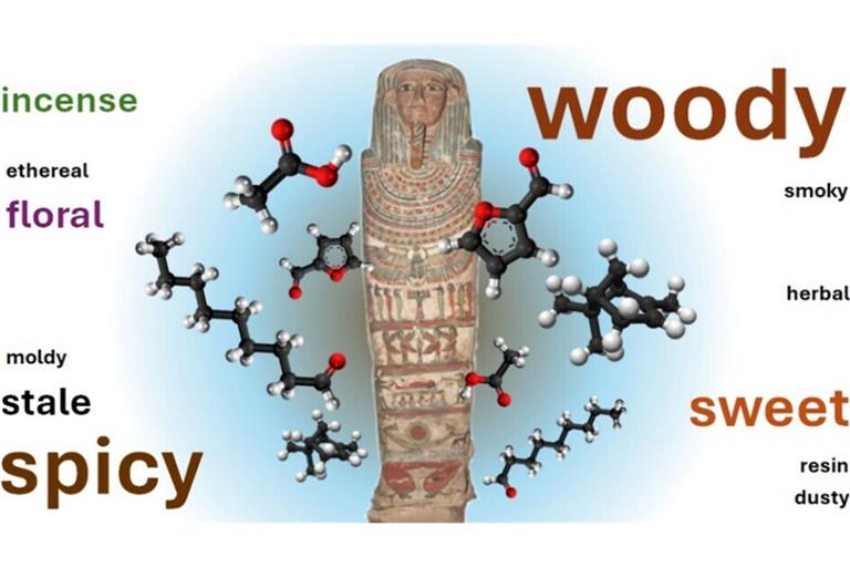 Menschliche „Schnüffler“ haben die Gerüche der Mumien mit Blick etwa darauf untersucht, wie intensiv und angenehm sie waren.