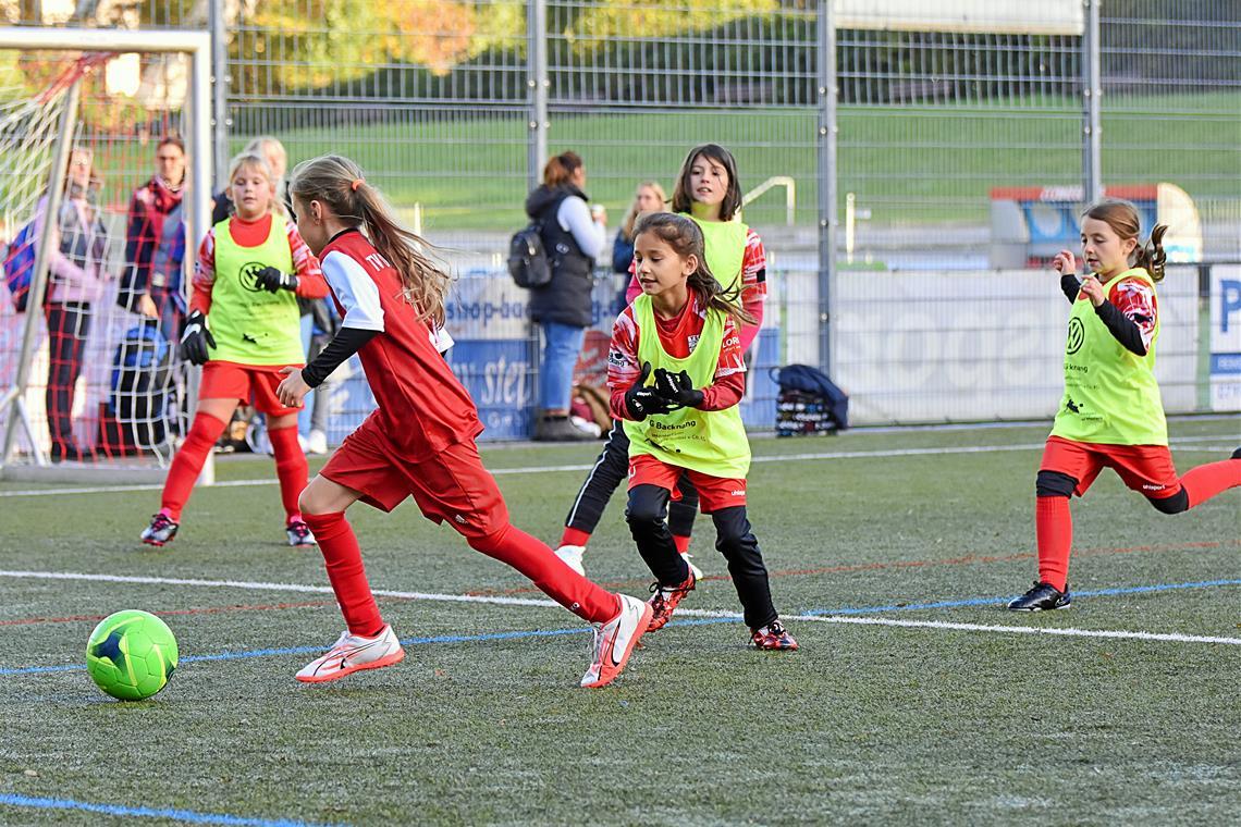 Mit dem Heimvorteil im Rücken wollen die E-Juniorinnen der TSG Backnang dem TV Oeffingen den Ball abjagen. Foto: Tobias Sellmaier