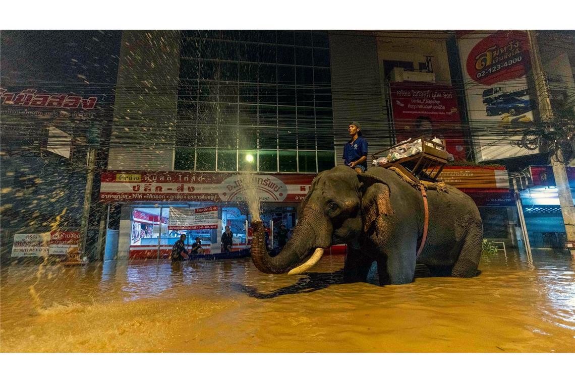 Mit Elefant durchs Hochwasser - Überschwemmungen in Thailand