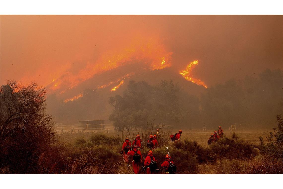 Moorpark: Feuerwehrleute kämpfen am 7. November 2024 gegen das „Mountain Fire“ bei Swanhill Farms nahe Moorpark im US-Bundesstaat Kalifornien.