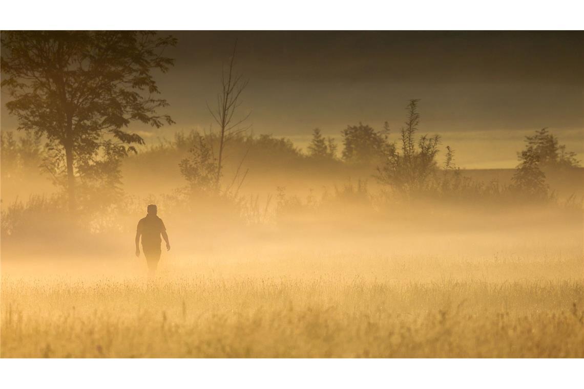 Morgenstimmung - Spaziergang nach Sonnenaufgang durch ein Feld im Morgennebel