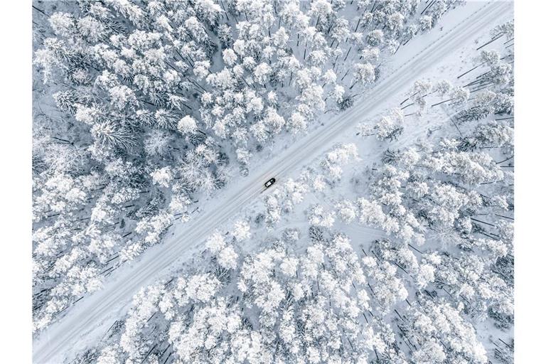 Das sagt die KI zur Jahrhundertwinter-Prognose Müssen wir uns auf einen Jahrhundertwinter mit viel Schnee und eisiger Kälte einstellen? Was die Wettermodelle sagen und welche Prognosen die KI macht.