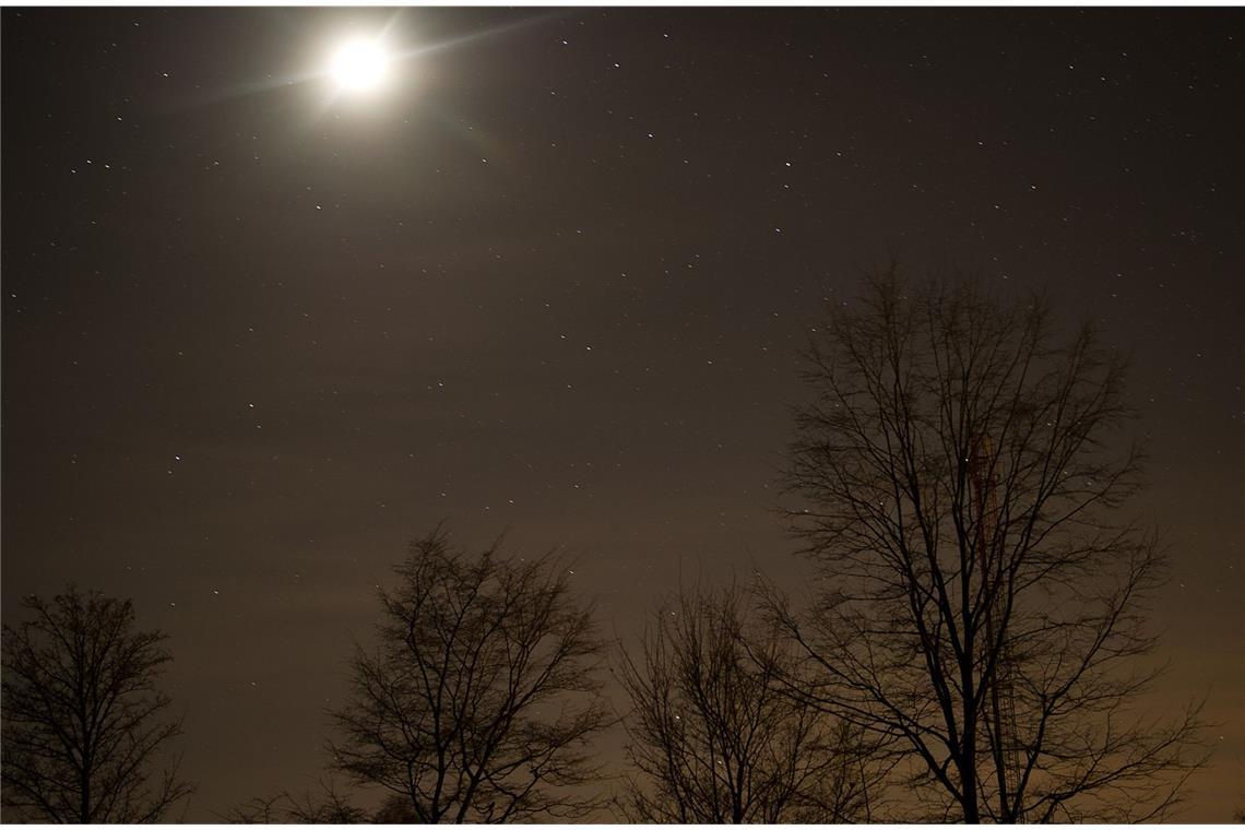 Nacht: Die Natur hat ihre eigenen Geräusche, die – wenn man sie nicht kennt – beunruhigen können.