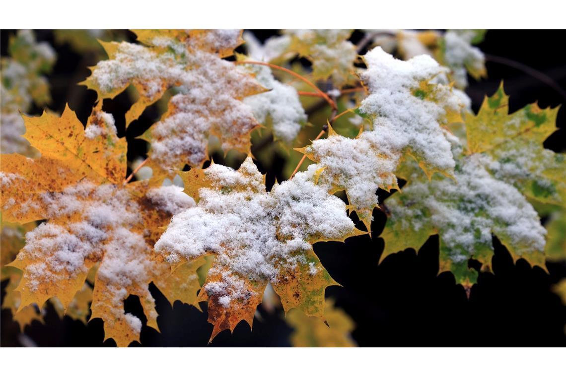 Nächste Woche zeigt sich der Frühwinter.