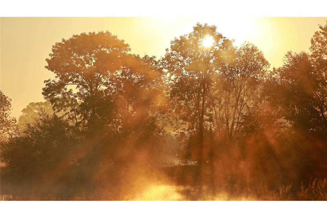 Nebel bildet sich im Licht der aufgehenden Sonne über den Veckenstedter Fischteichen im Nordharz.