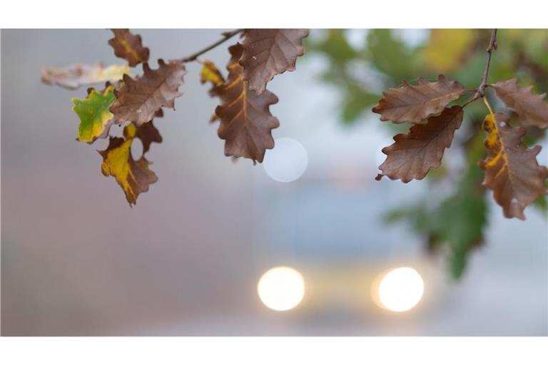 Nebeliges Herbstwetter soll es in den kommenden Tagen in Baden-Württemberg geben. (Symbolfoto)