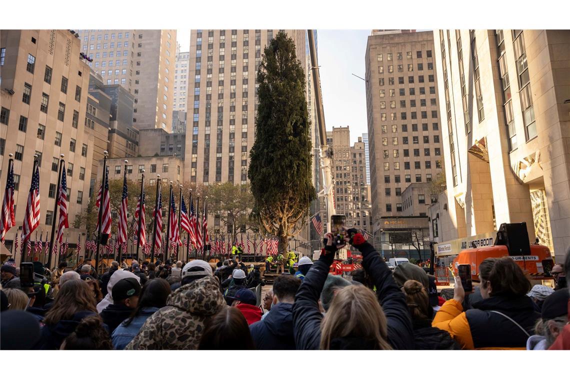 New York: Weihnachtsbaum am Rockefeller-Center wird aufgestellt