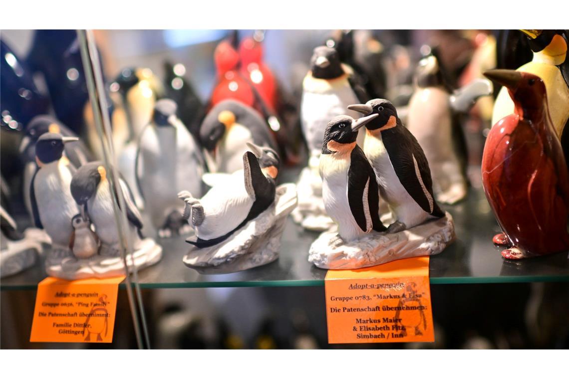 Noch bis Anfang November sind die Pinguine zu sehen.