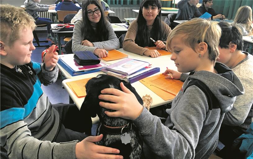 Offensichtlich: Die Mädchen und Jungen haben Schulhündin Ronja ins Herz geschlossen. Foto: privat