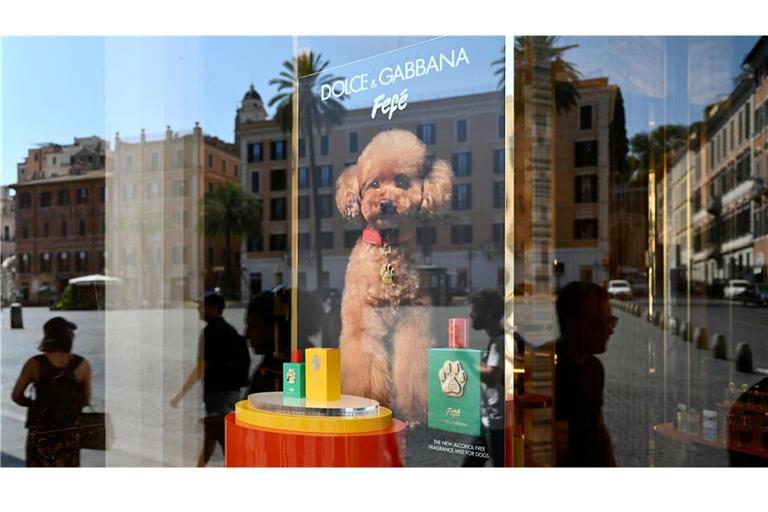 Passanten spiegeln sich im Schaufenster einer Boutique des Luxusmodehauses Dolce & Gabbana, das im Zentrum Roms sein neues Hundeparfüm „Fefé“ vorstellt.