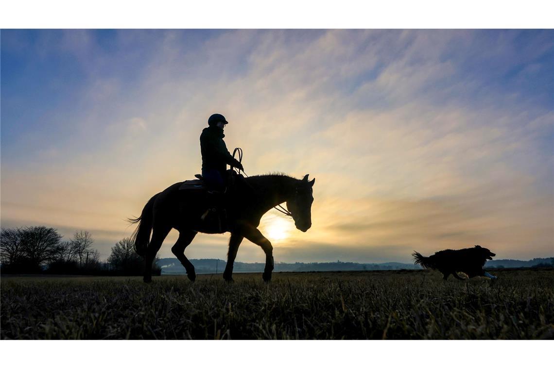 Reiten bei Sonnenaufgang.