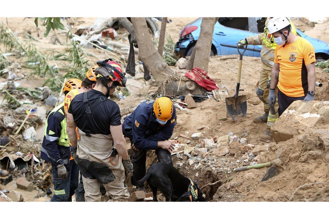 Rettungshelfer suchen mit Hilfe von Spürhunden nach Menschen.