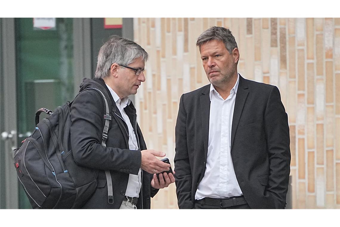 Robert Habeck (rechts) arbeite mit Sven Giegold (links) gut zusammen, heißt es bei den Grünen.