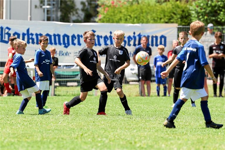 Rund 700 Nachwuchsfußballer aus der Region um Backnang und Murrhardt sorgen am Wochenende beim 28. BKZ-Mini-Cup in Kleinaspach für viel Bewegung. Foto: Alexander Becher