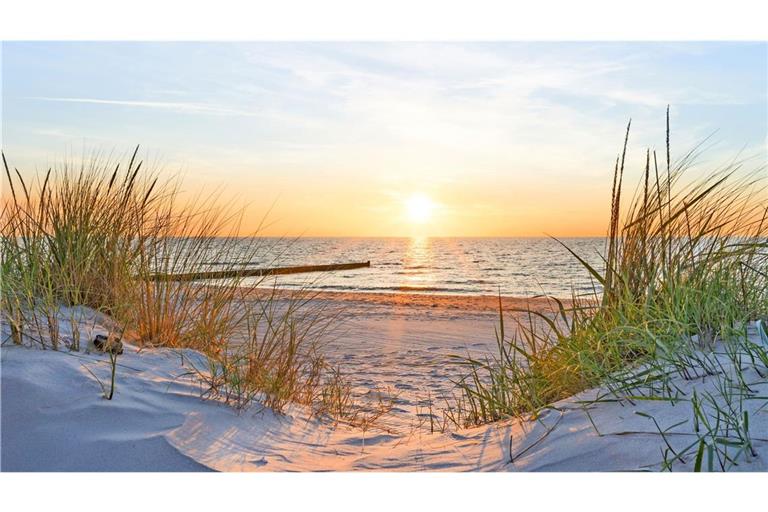 Sanddüne an der Ostsee.