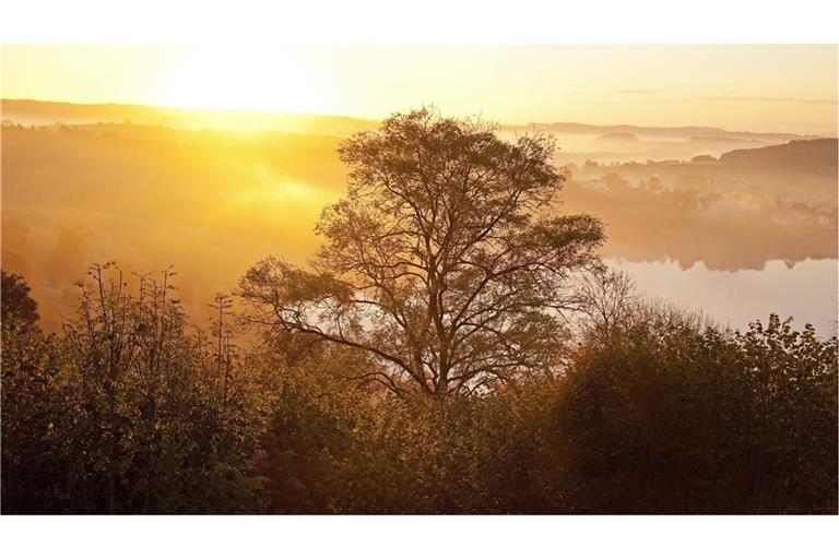 Schalkenmehrer Maar nahe Daun in der Vulkaneifel im Herbst bei Sonnenaufgang.