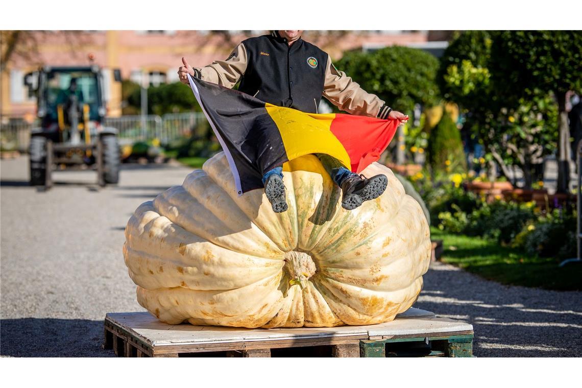 Sein Kürbis wiegt 1152 Kilogramm: Der Belgier Mario van Geel hat bei der Europameisterschaft im Kürbiswiegen gewonnen.