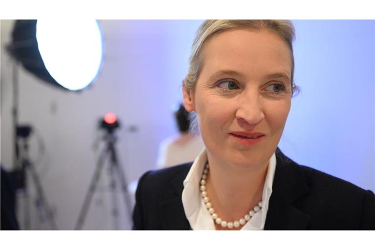 Sie dürfte auch als Kanzlerkandidatin in die Bundestagswahl gehen: Alice Weidel. (Archivbild)