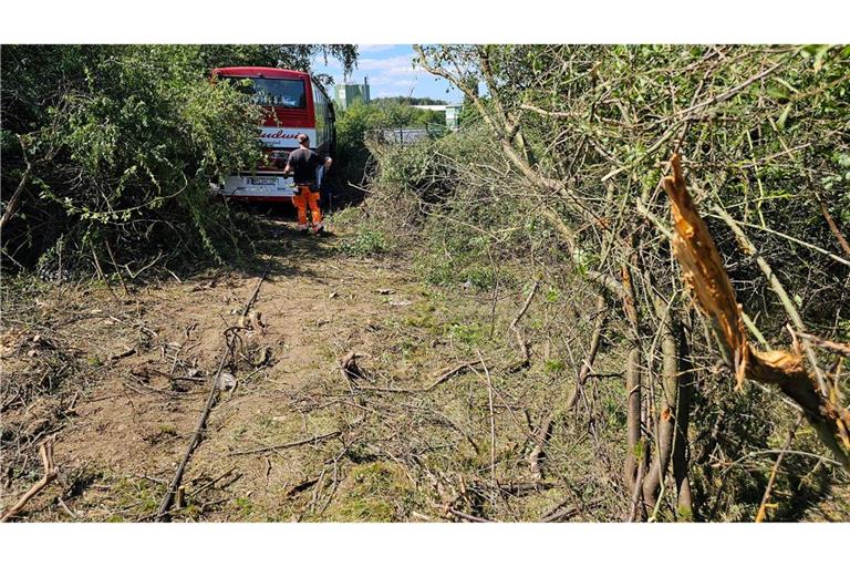 Sieben Verletzte nach Unfall eines Reisebusses auf der A72.