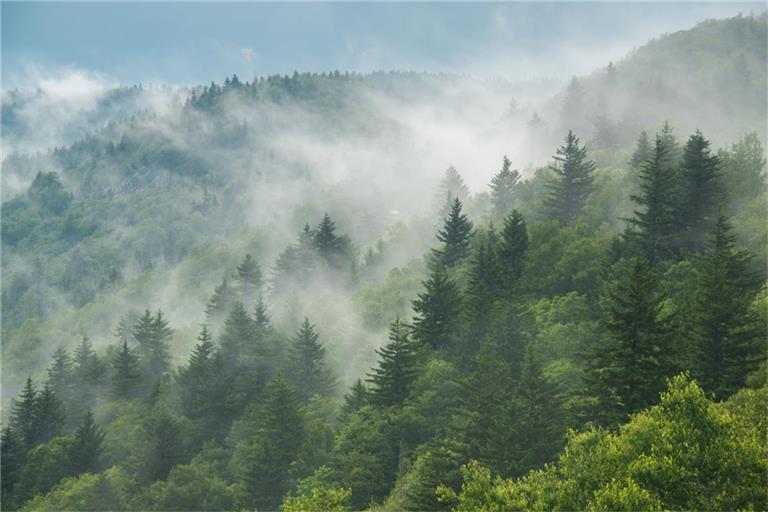 So lüften Sie bei Nebel richtig.