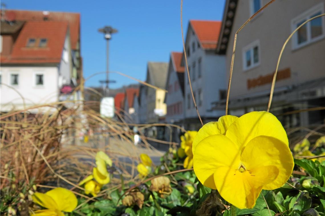 Sonne und ein Frühlingsgruß: Das Wetter lockt nach draußen. In der Murrhardter Fußgängerzone geht es noch ruhig zu, aber die Händler freuen sich, dass sie nun wieder öffnen können, was einige Kunden auch genutzt haben. Foto: C. Schick