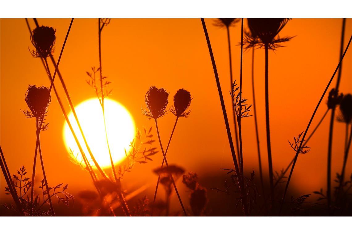 Sonnenaufgang in Oberschwaben