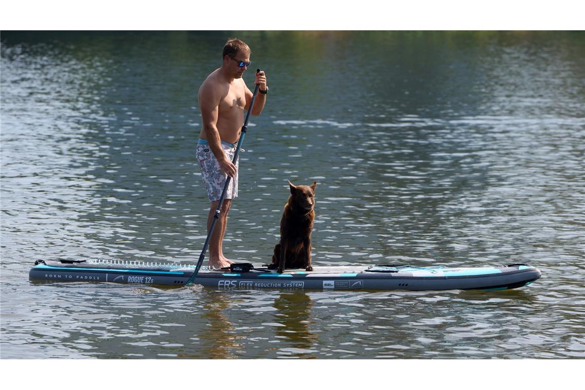 Spätsommerliches Vergnügen - Hund und Herrchen auf dem Wasser.