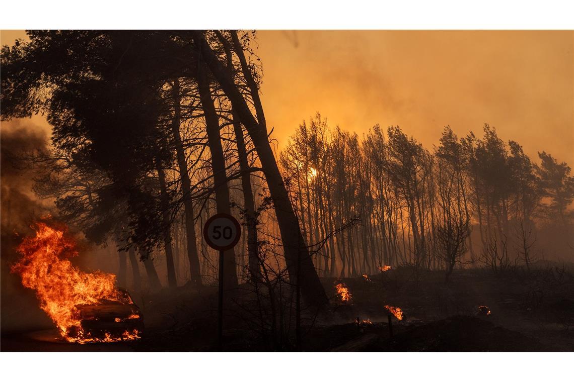 Starker Wind treibt die Flammen unbarmherzig voran