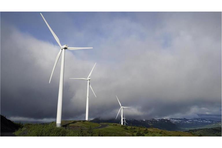 Über die Hälfte des Stroms in Deutschland stammt aus erneuerbaren Energien. (Symbolfoto)