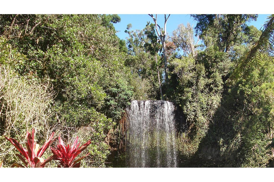 Unfälle an den Millaa Millaa Falls sind sehr selten. (Archivbild)