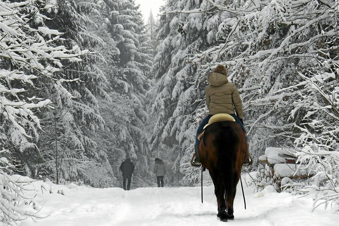 Verschneit ist es im Wald natürlich besonders stimmungsvoll – wie hier zum Jahreswechsel auf dem Murrhardter Riesberg 2014. Aber auch sonst hält die Natur vieles bereit, das sich auch dieser Tage bei einem Ausflug und im Sinne weihnachtlicher Freuden besonders genießen lässt. Archivfoto: MZ