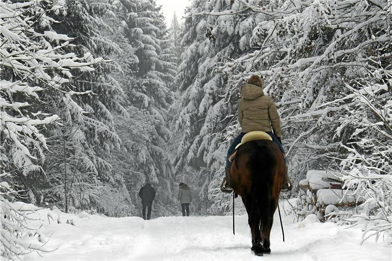 Verschneit ist es im Wald natürlich besonders stimmungsvoll – wie hier zum Jahreswechsel auf dem Murrhardter Riesberg 2014. Aber auch sonst hält die Natur vieles bereit, das sich auch dieser Tage bei einem Ausflug und im Sinne weihnachtlicher Freuden besonders genießen lässt. Archivfoto: MZ